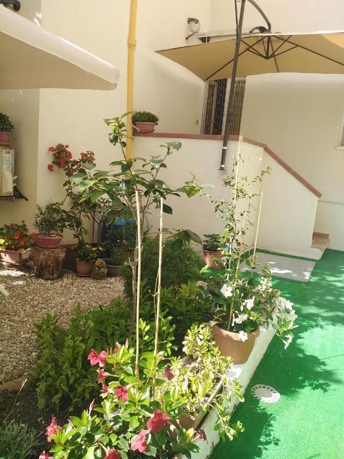 Flowered House With Garden Alghero Eksteriør billede